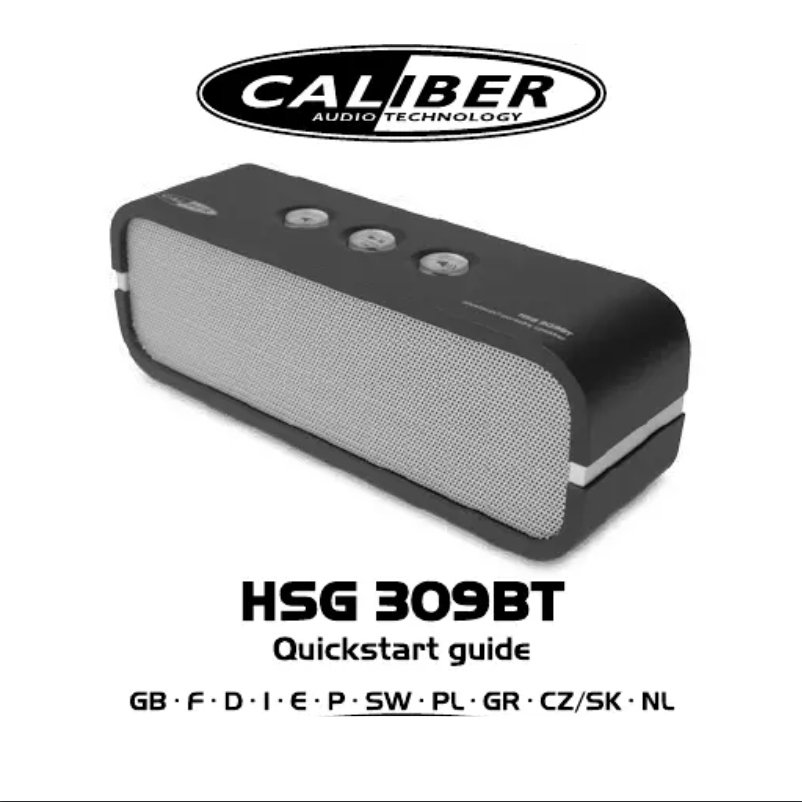 Page 1 de la notice Manuel utilisateur Caliber HSG 309BT