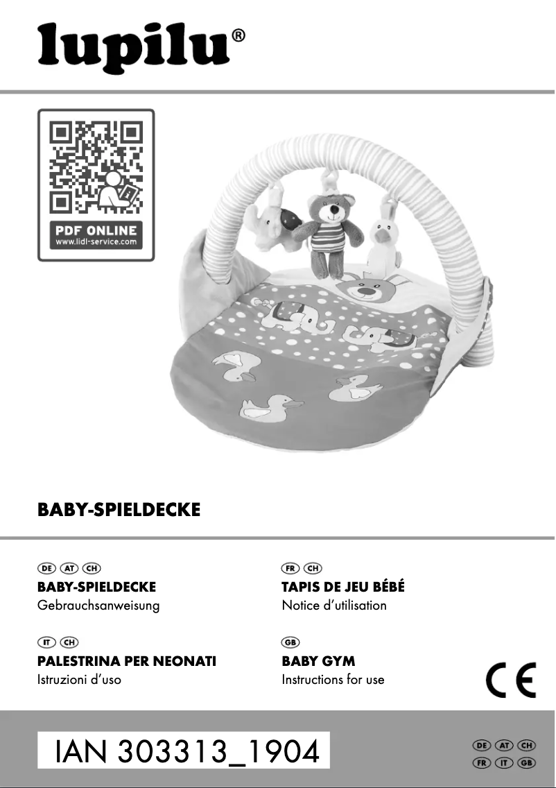 First page image of the manual for IAN 303313