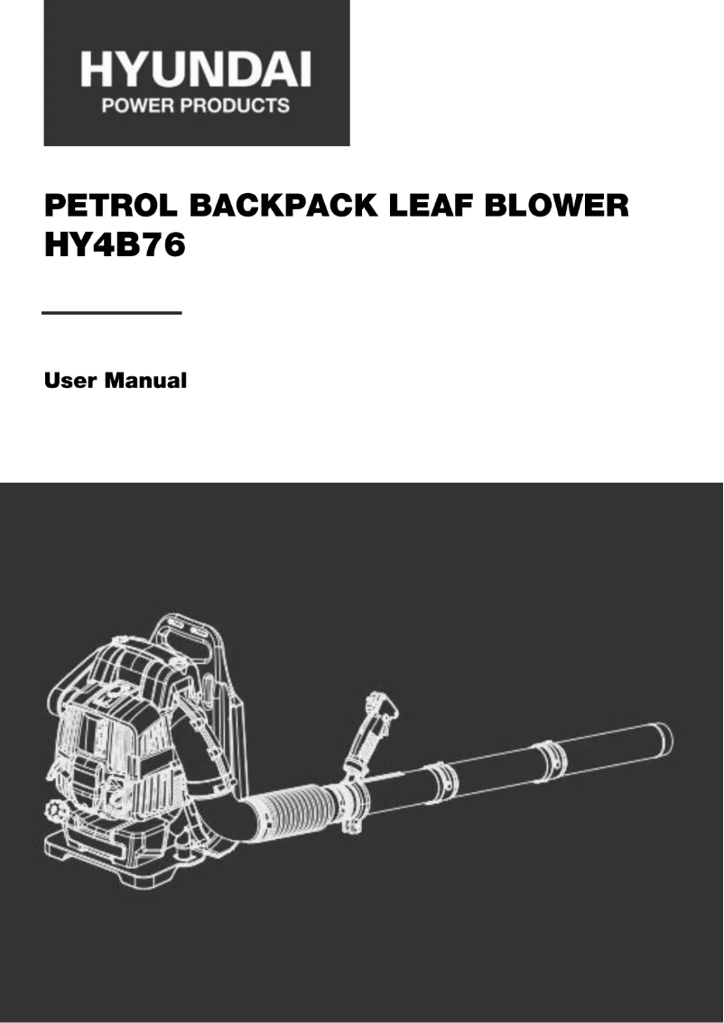 Page 1 de la notice Manuel utilisateur Hyundai HY4B76