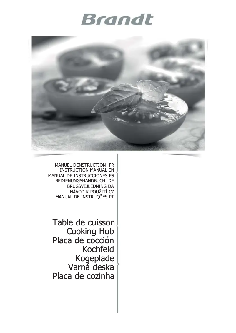 Image de la première page du manuel de l'appareil BPI6428X