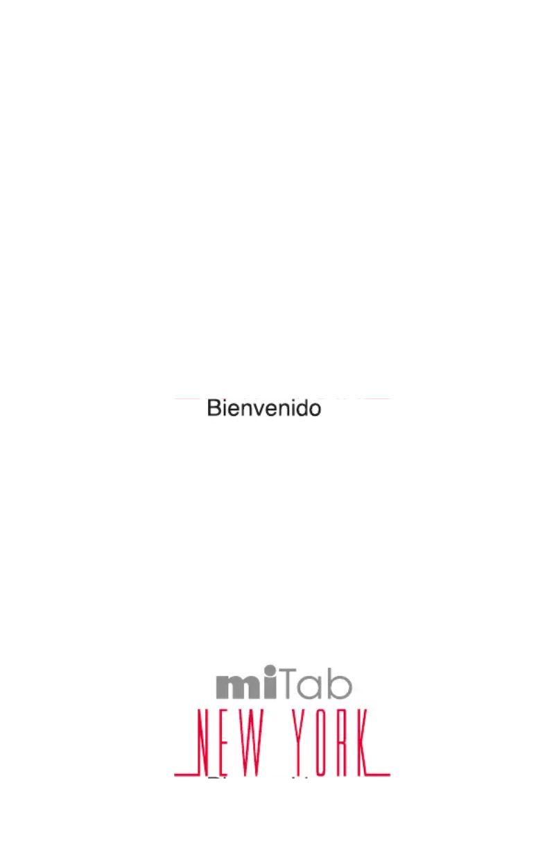 Page 1 de la notice Manuel utilisateur Wolder MiTab New York