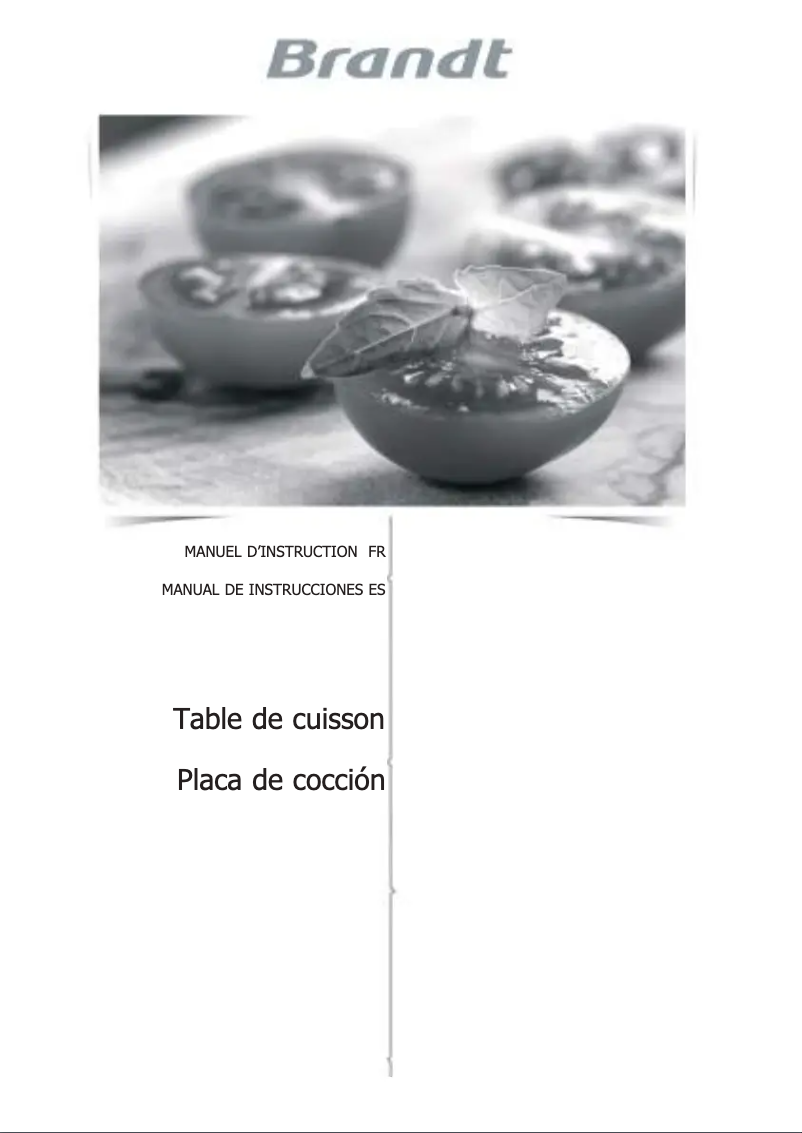 Page n°1 - Manuel utilisateur Brandt BPI6362B