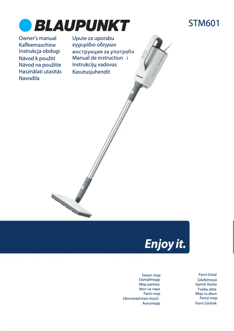 Page 1 de la notice Manuel utilisateur Blaupunkt STM601