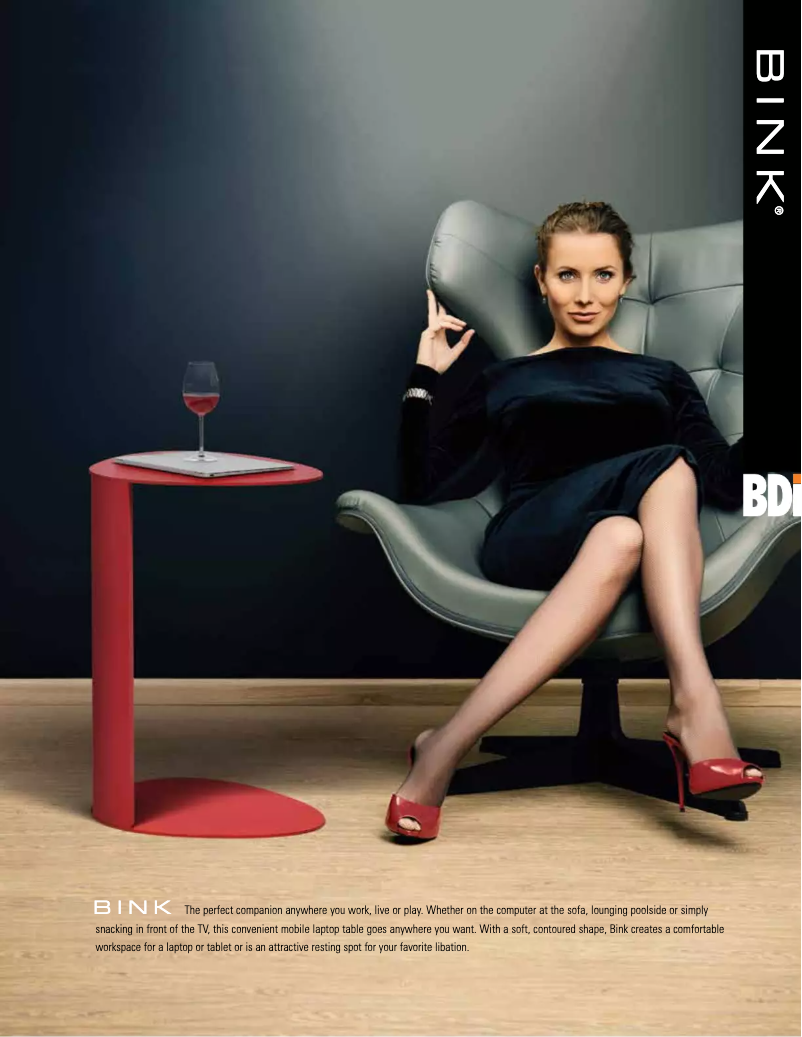 Page n°1 - Fiche technique BDI Bink 1025