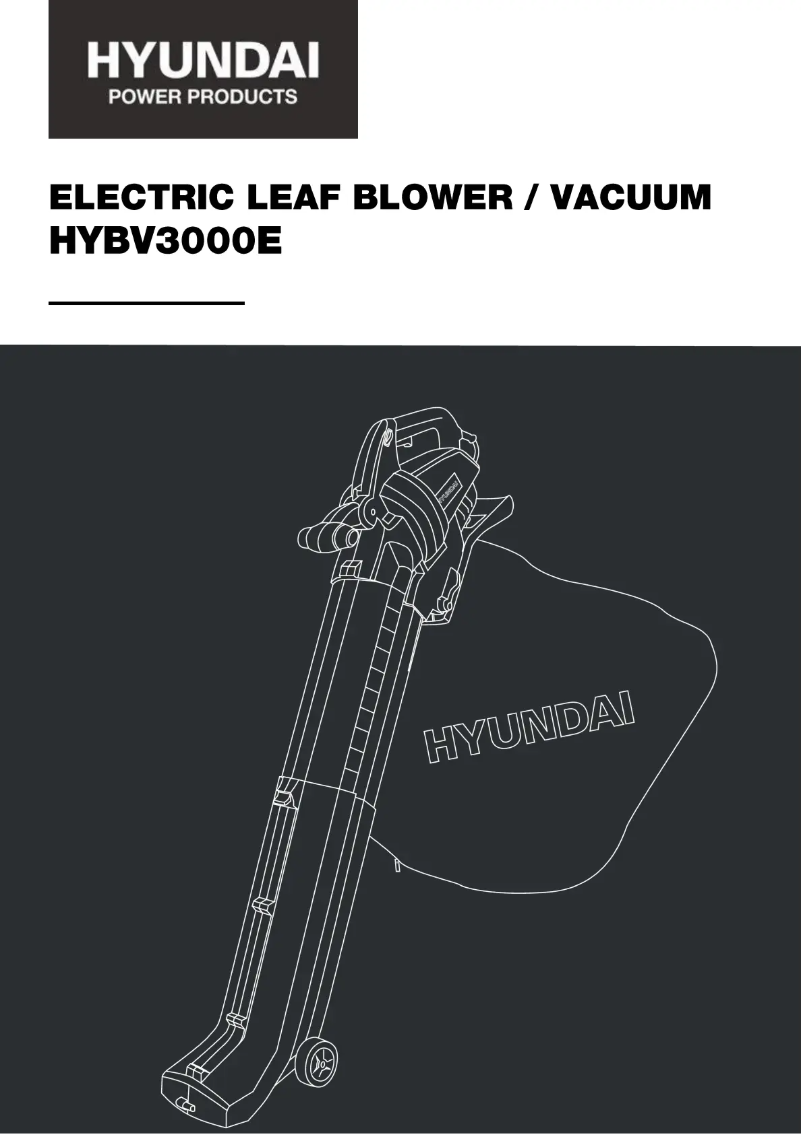 Page 1 de la notice Manuel utilisateur Hyundai HYBV3000E