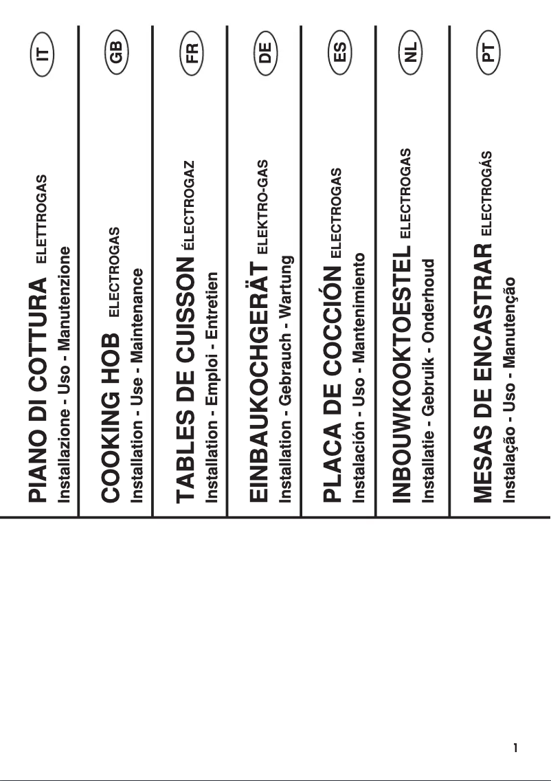 Page 1 de la notice Manuel utilisateur Hoover HG953/1SXGH