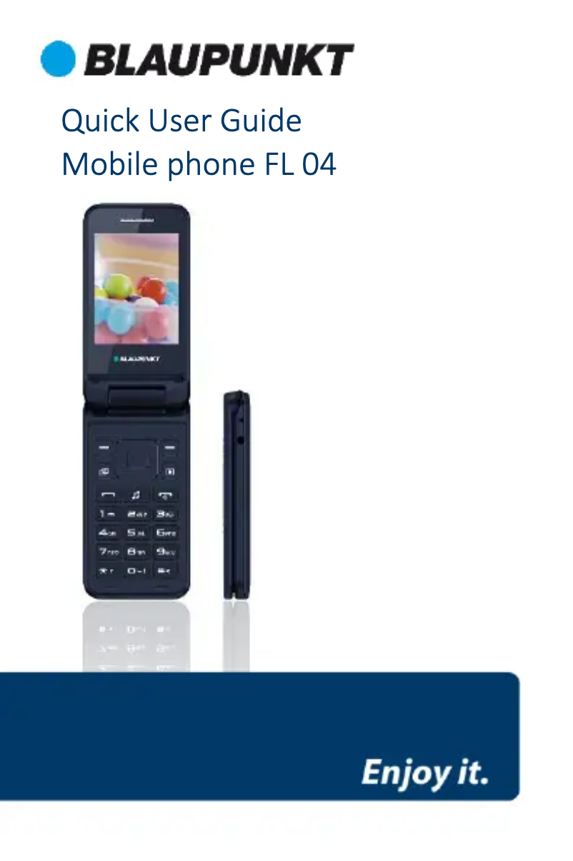 Page 1 de la notice Manuel utilisateur Blaupunkt FL 04