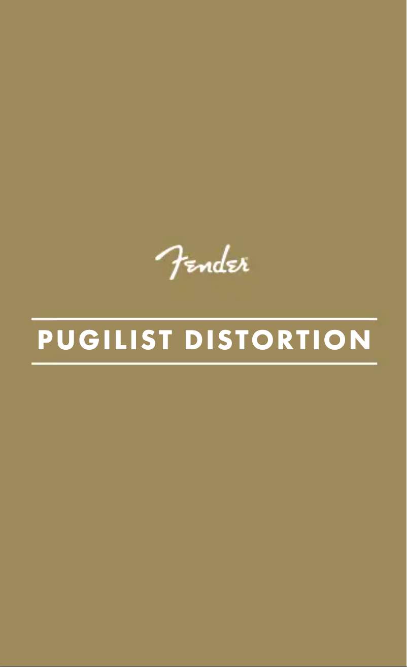 Image de la première page du manuel de l'appareil Pugilist Distortion