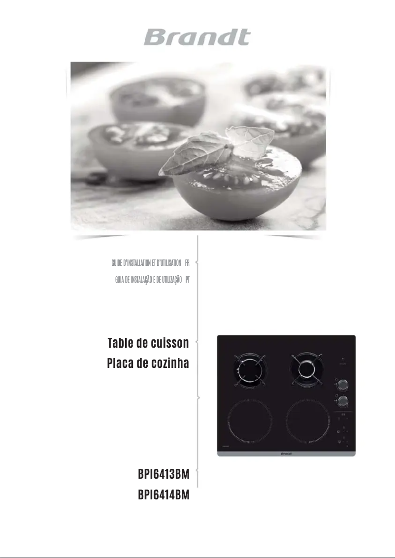 Imagen de la primera página del manual del dispositivo BPI6413BM