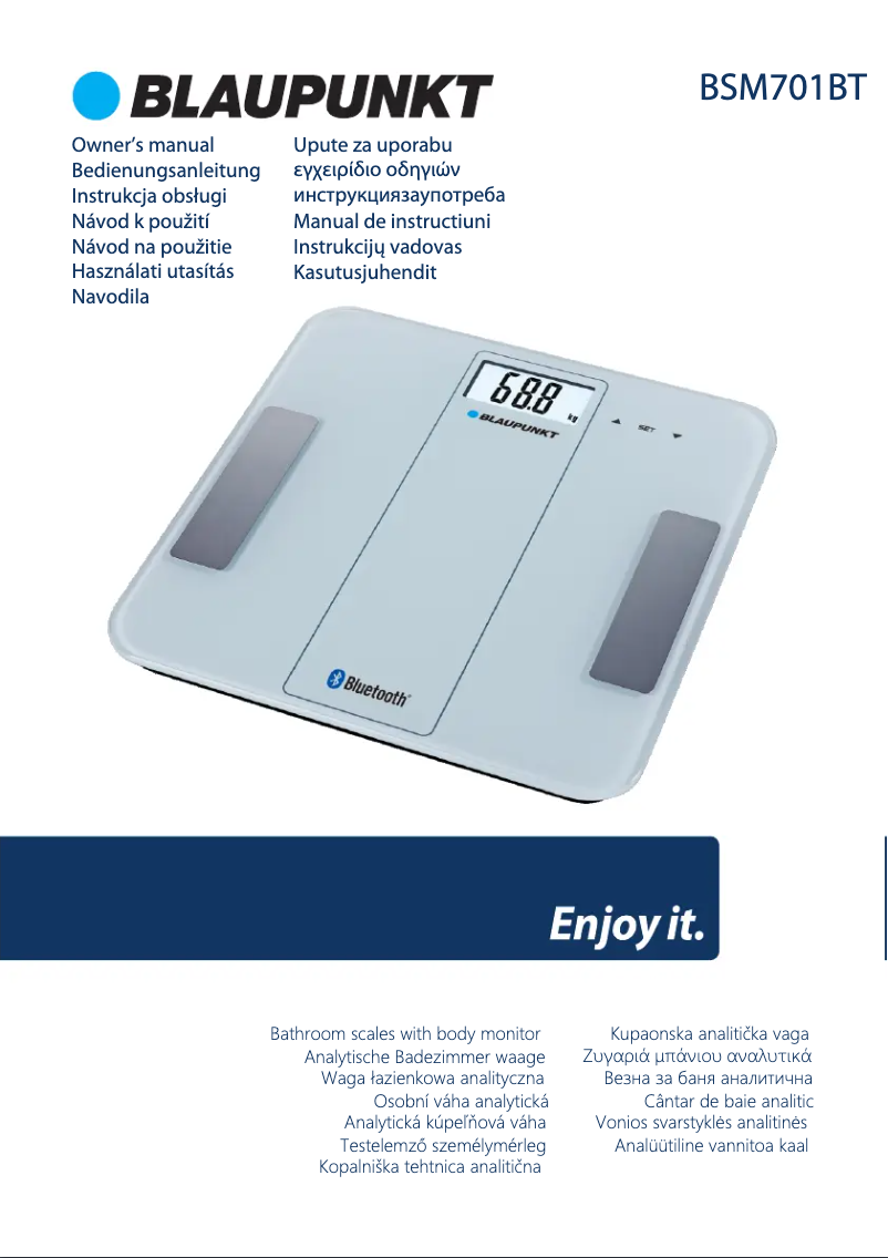 Page 1 de la notice Manuel utilisateur Blaupunkt BSM701BT