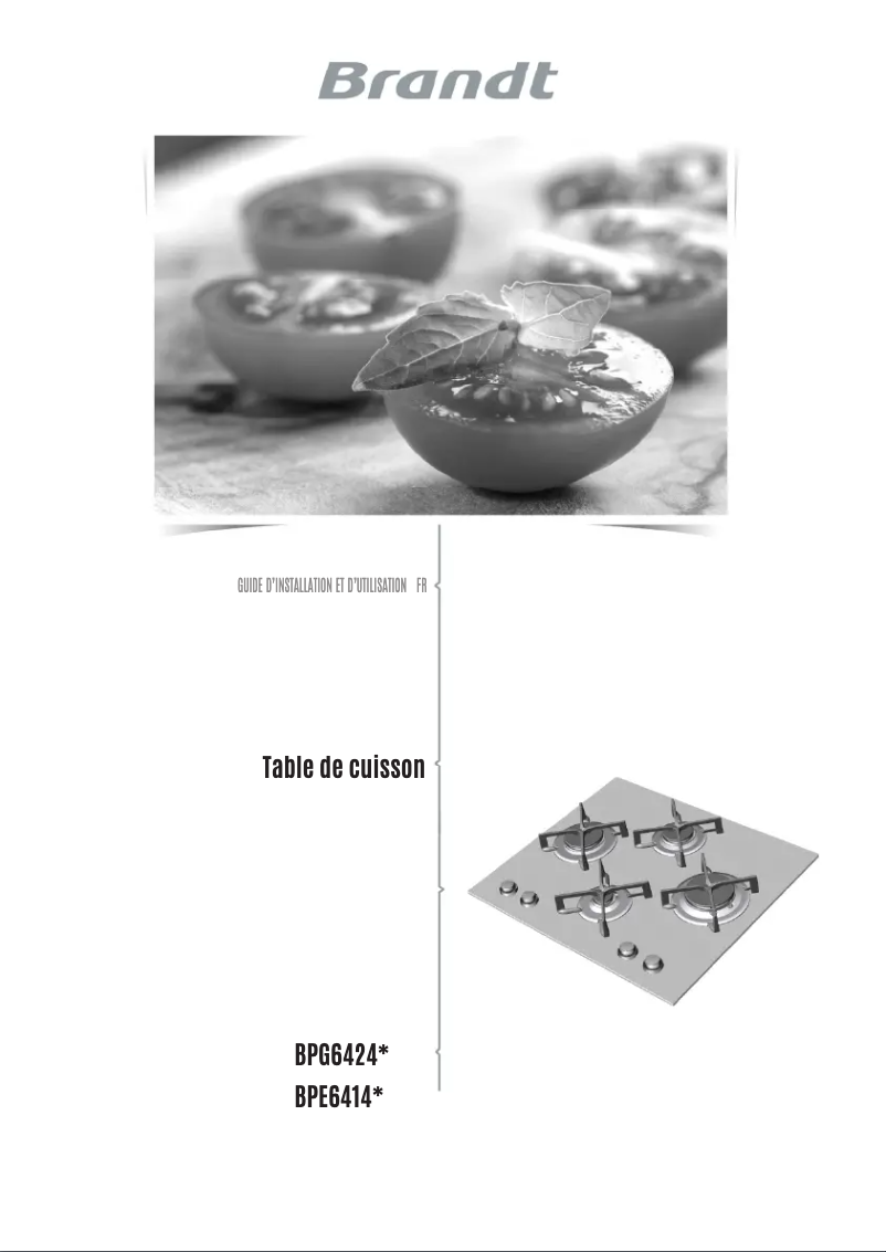 Image de la première page du manuel de l'appareil BPE6411XM