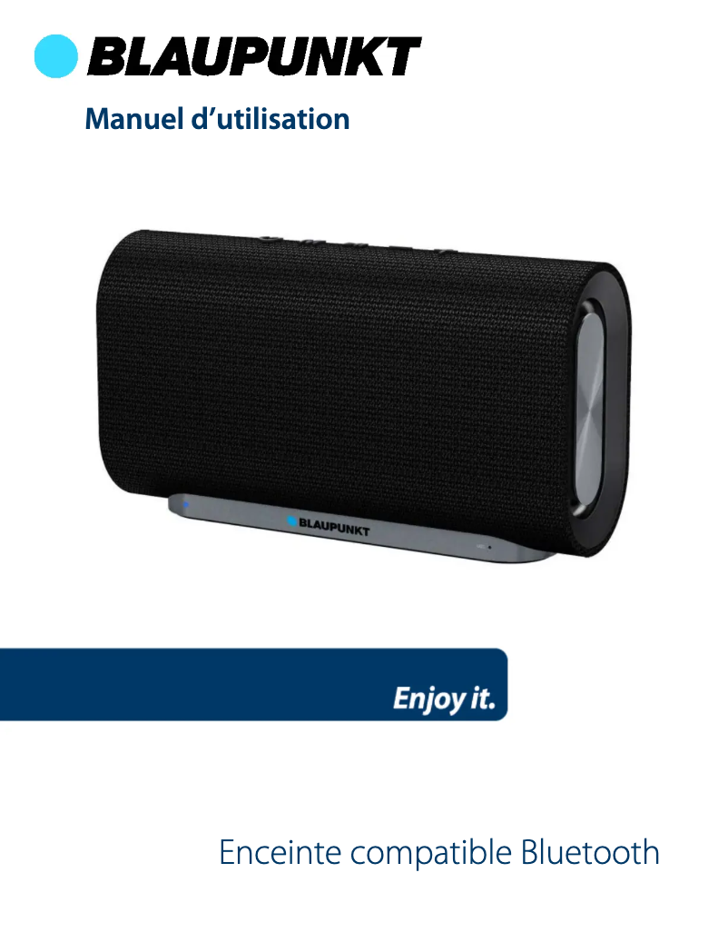 Image de la première page du manuel de l'appareil BLP3800