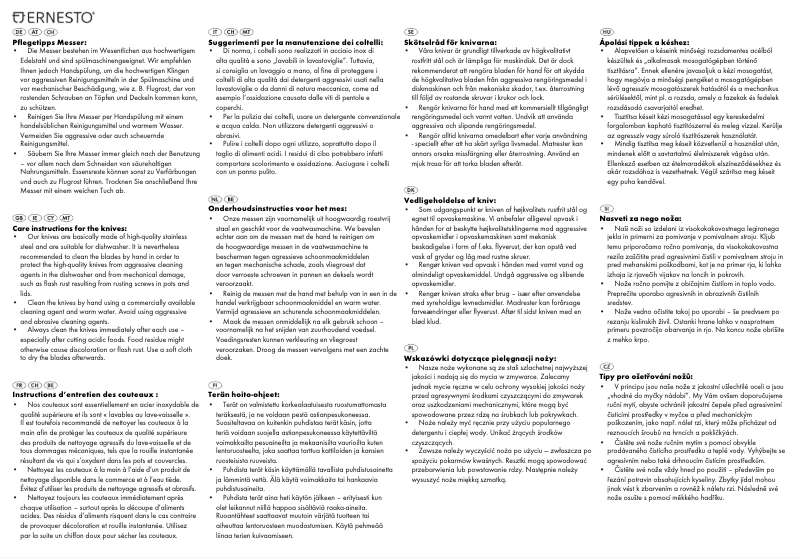 Página 1 del manual Manual de usuario Ernesto IAN 114407