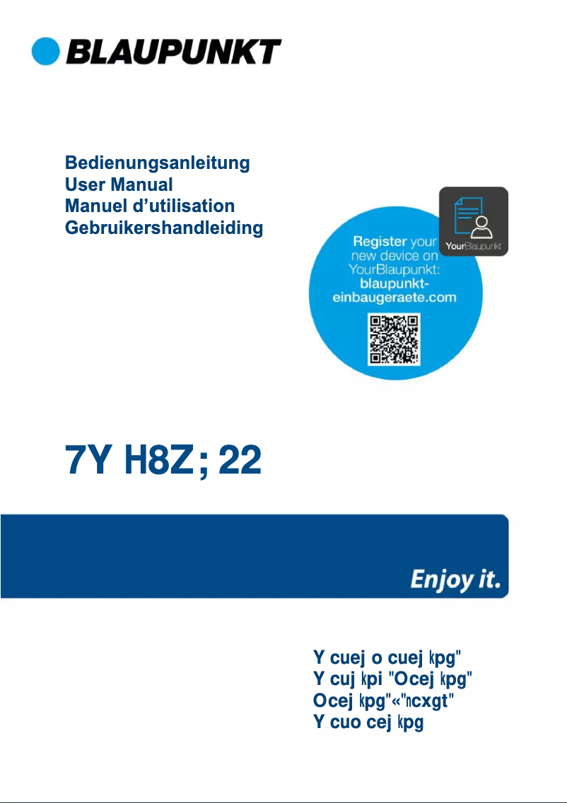 Page n°1 - Guide d'installation Blaupunkt 5WF6X900