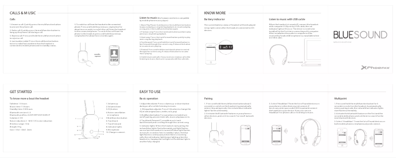 Page 1 de la notice Manuel utilisateur Phoenix Technologies Blue Sound