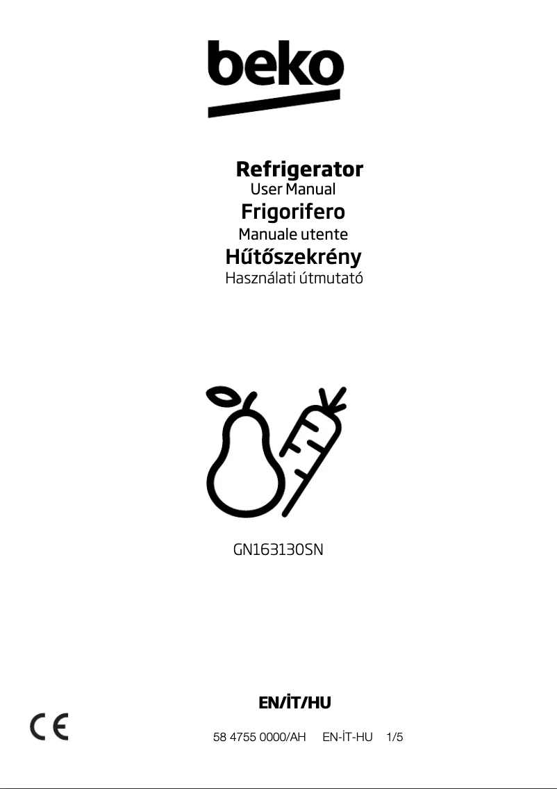 Image de la première page du manuel de l'appareil GN163130SN