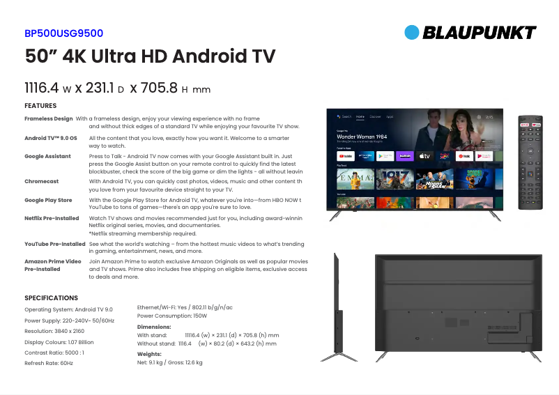 Page n°1 - Fiche technique Blaupunkt BP500USG9500