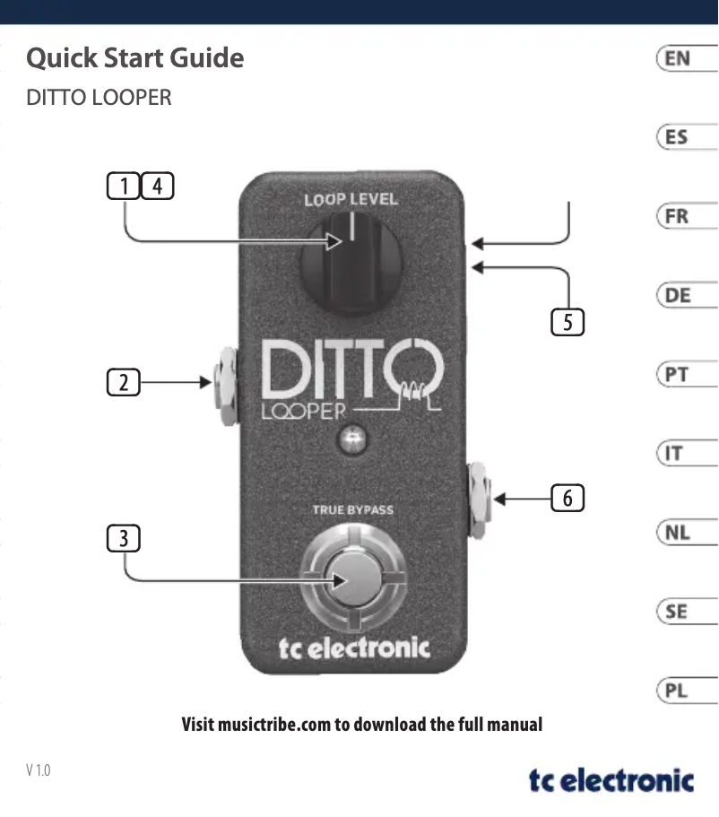 Page n°1 - Guide de démarrage rapide TC Electronic DITTO LOOPER