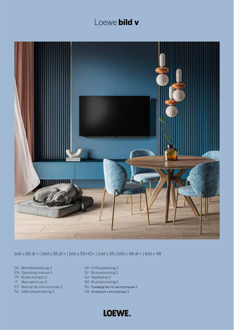 Page n°1 - Manuel utilisateur Loewe bild v