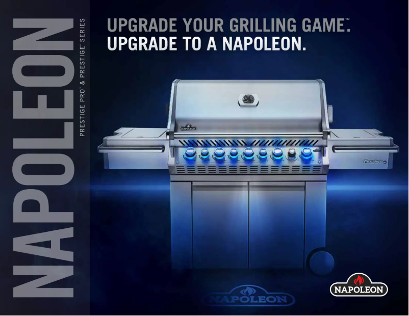 Page 1 de la notice Brochure Napoleon Prestige PRO 500