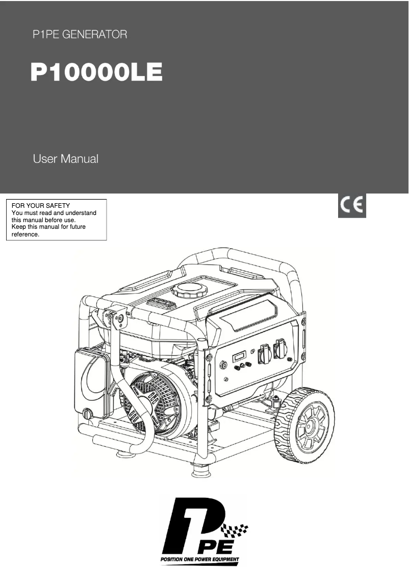 Page n°1 - Manuel utilisateur Hyundai P10000LE