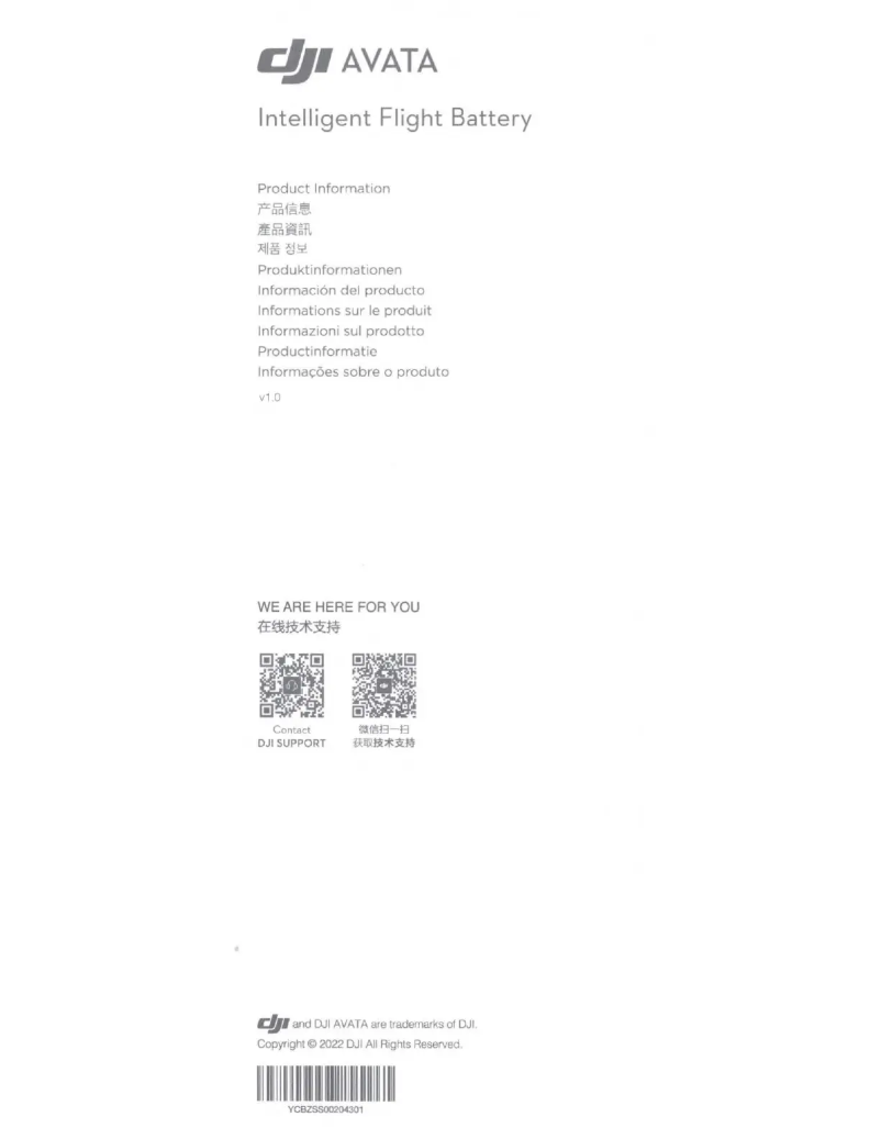 Image de la première page du manuel de l'appareil Avata Intelligent Flight Battery