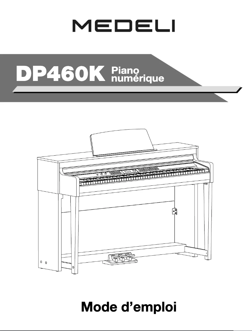 Imagen de la primera página del manual del dispositivo DP460K/RW