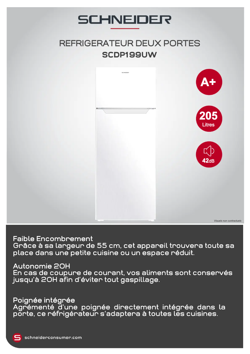 Page 1 de la notice Fiche technique Schneider SCDP199U