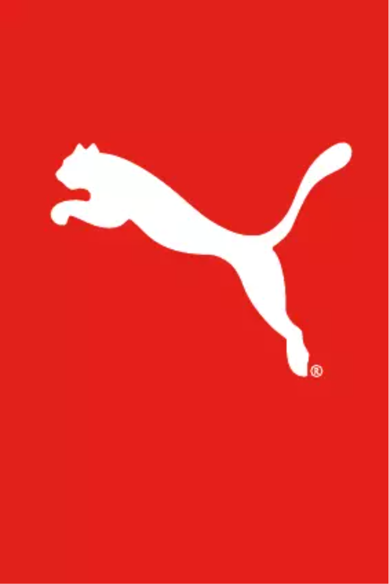 Page 1 de la notice Manuel utilisateur Puma Flat Coast