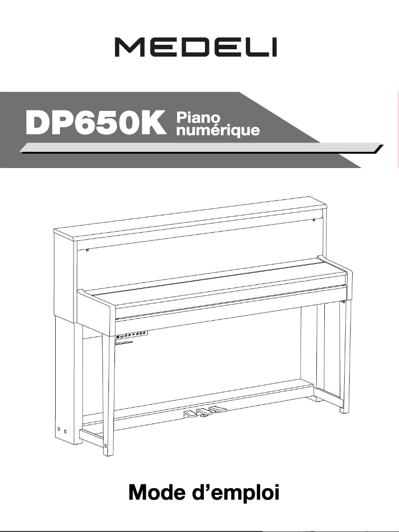 Image de la première page du manuel de l'appareil DP650K