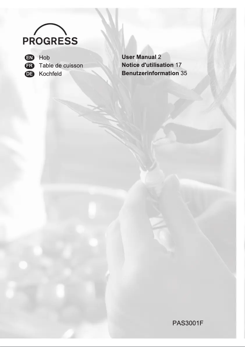 Page 1 de la notice Manuel utilisateur Progress PAS3001F