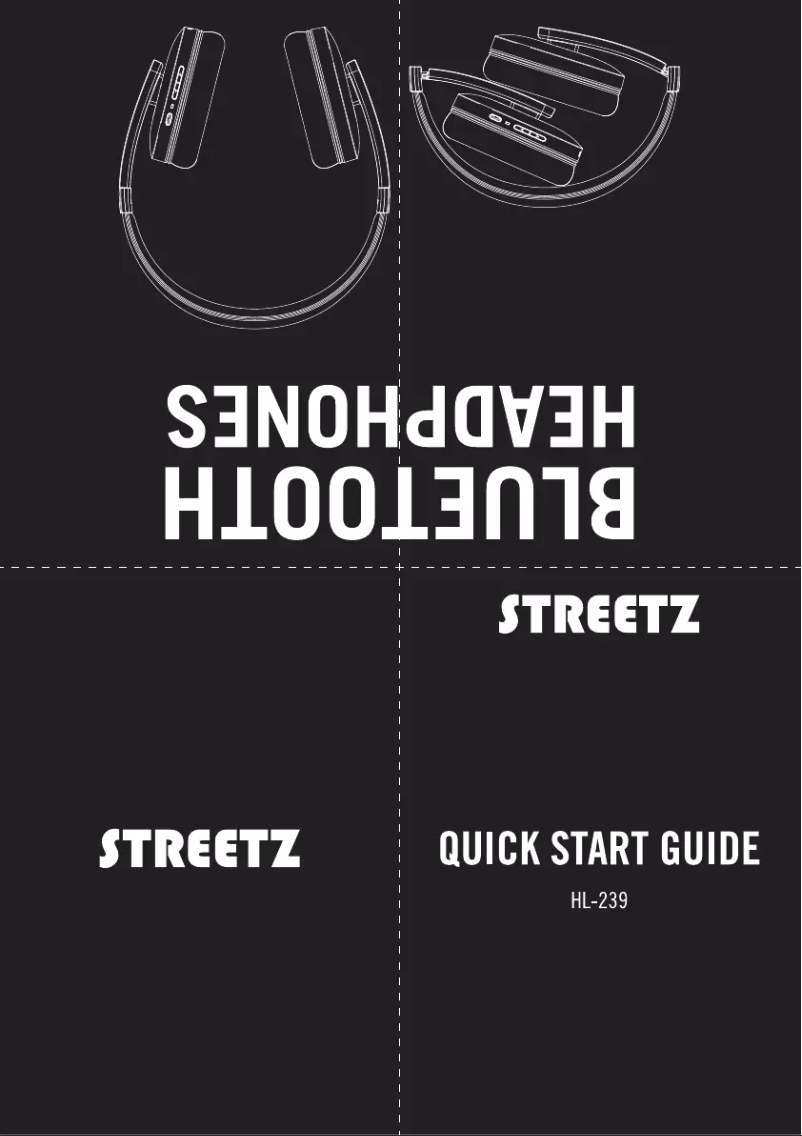 Image de la première page du manuel de l'appareil HL-239